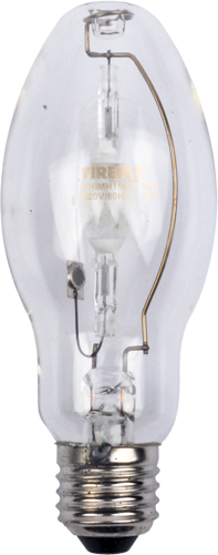 Firefly Metal Halide Ellliptical Lamp