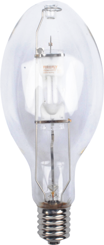 Firefly Metal Halide Ellliptical Lamp