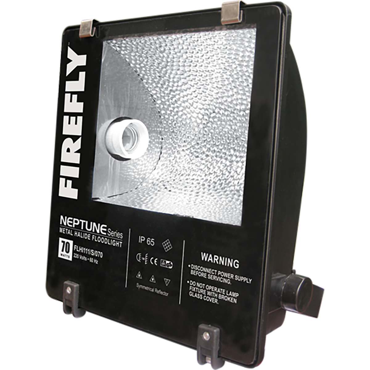 Firefly Neptune Series Metal Halide Floodlight Fixture